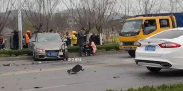 中山车祸最新爆料消息视频,视频揭示惊人真相